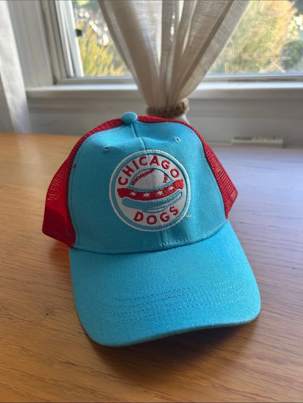 NWOT Chicago Dogs Hat. Snap Back.